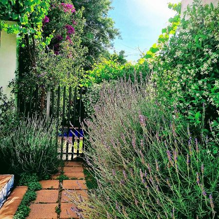 Sunny Lane Apartment Franschhoek Exterior foto