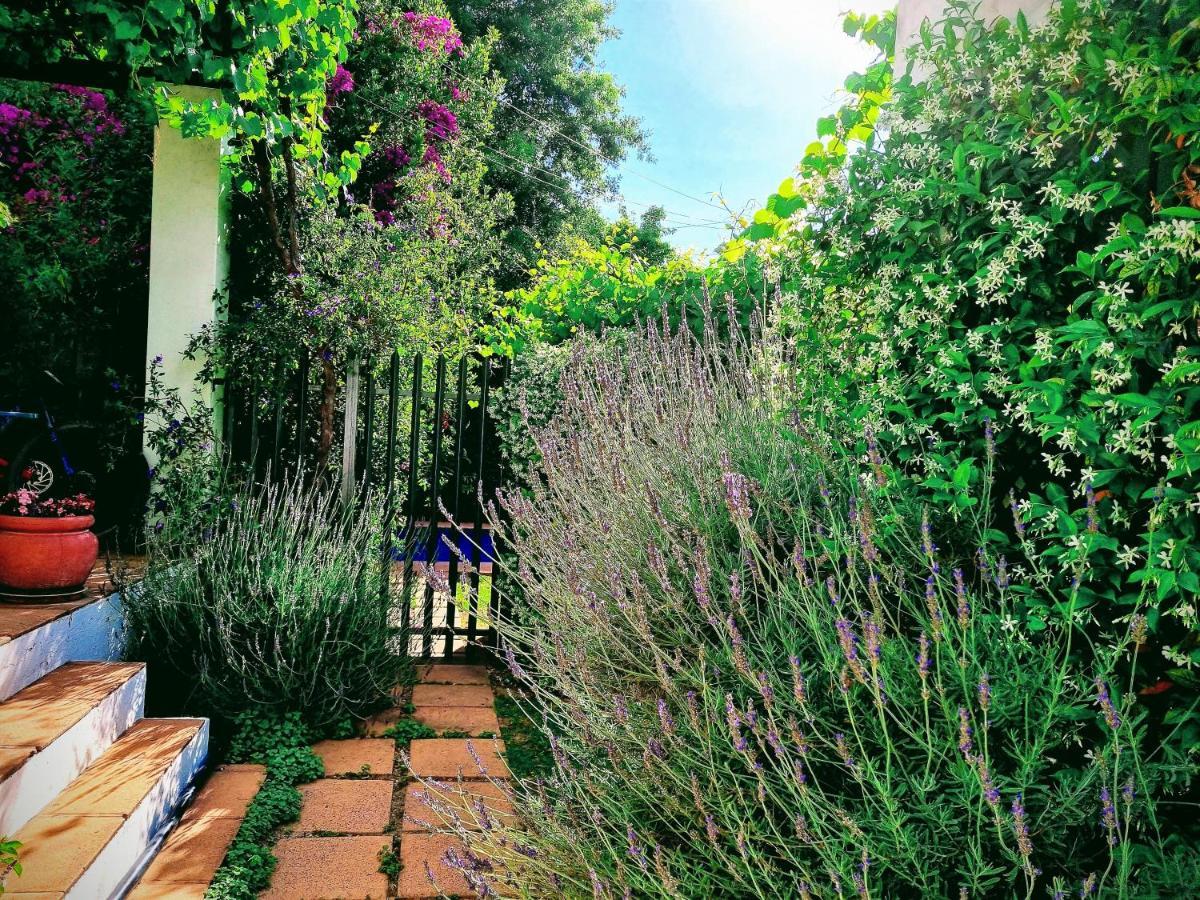 Sunny Lane Apartment Franschhoek Exterior foto