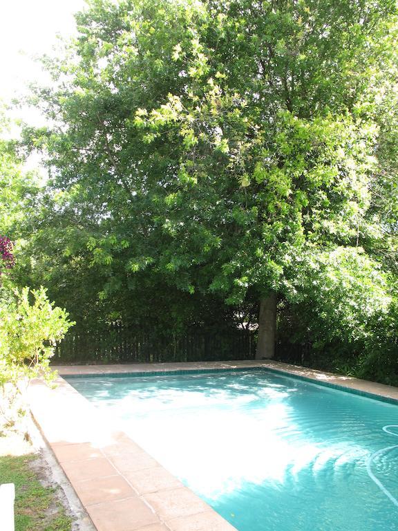 Sunny Lane Apartment Franschhoek Exterior foto